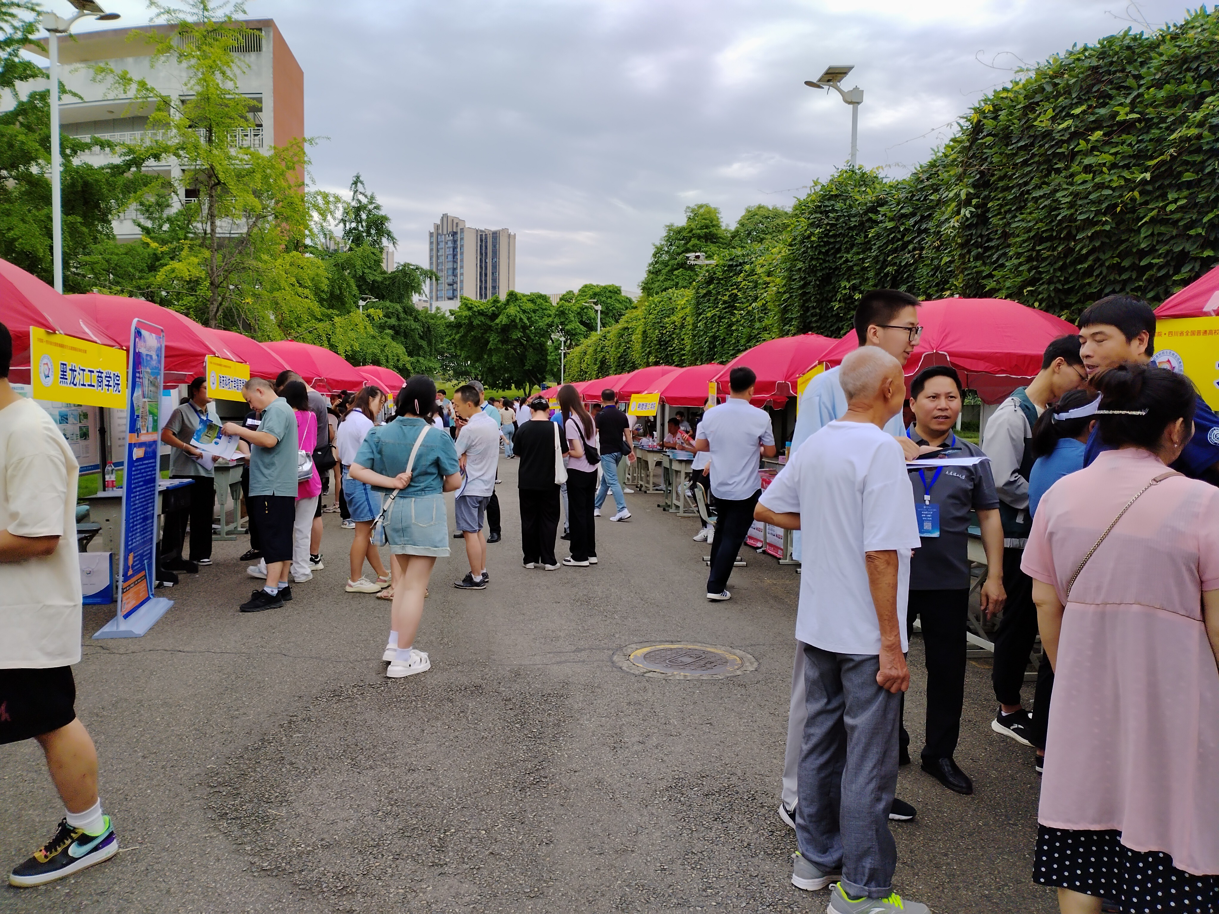 与高校老师面对面!龙泉驿区2024年普通高校招生线下咨询会举行